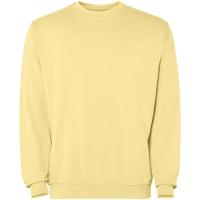 Jaya unisex crewneck sweater